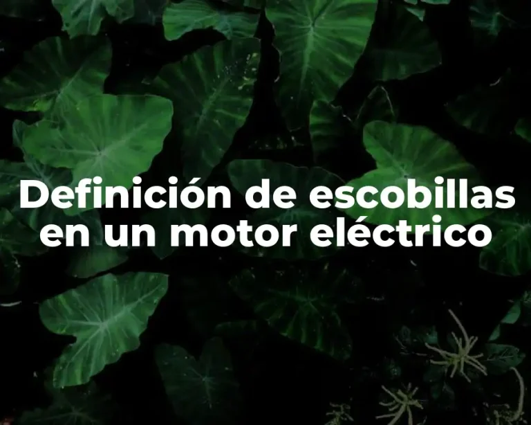 Definición de escobillas en un motor eléctrico