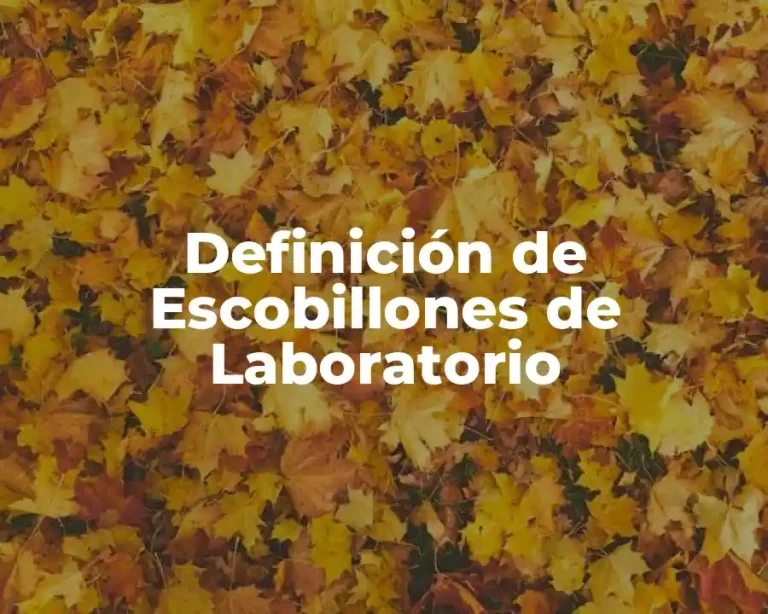 Definición de Escobillones de Laboratorio