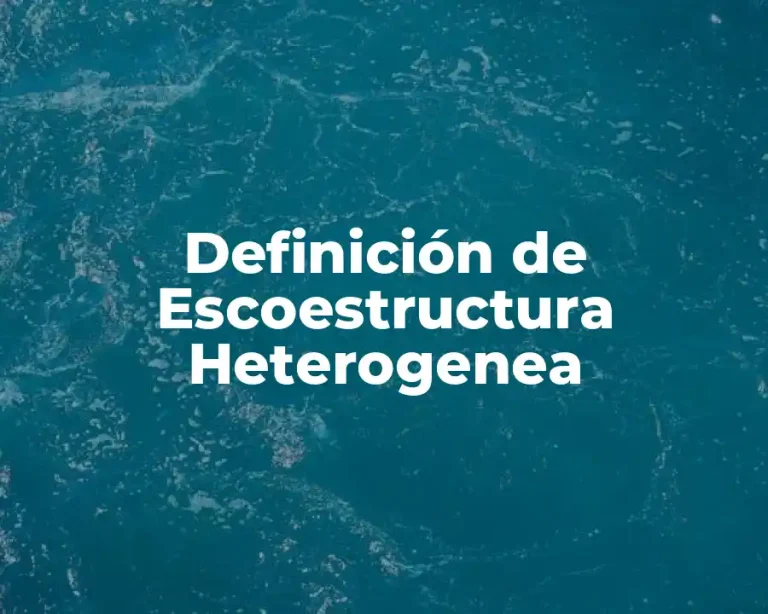 Definición de Escoestructura Heterogenea