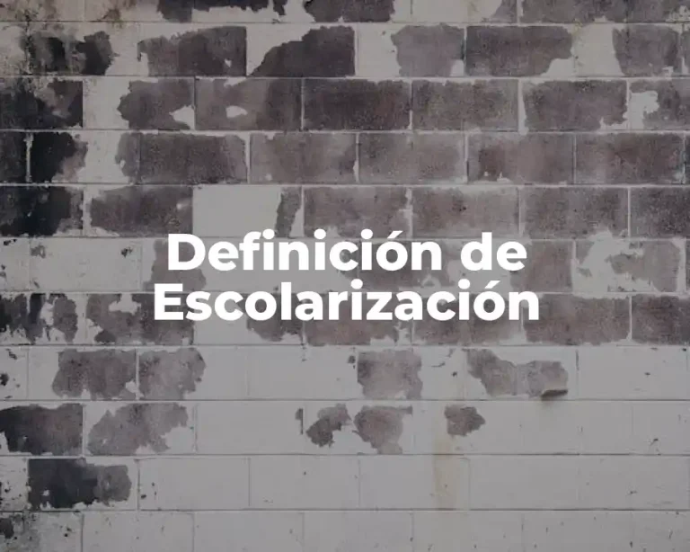 Definición de Escolarización