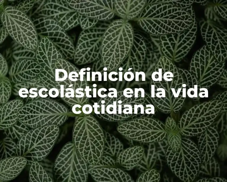 Definición de escolástica en la vida cotidiana