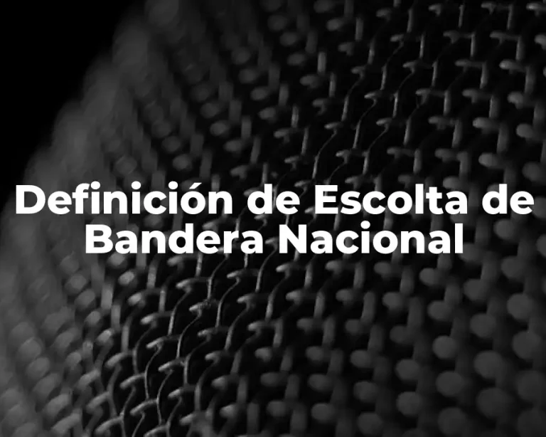 Definición de Escolta de Bandera Nacional