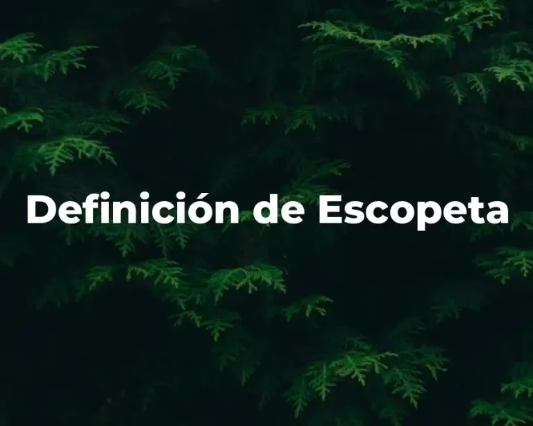 Definición de Escopeta