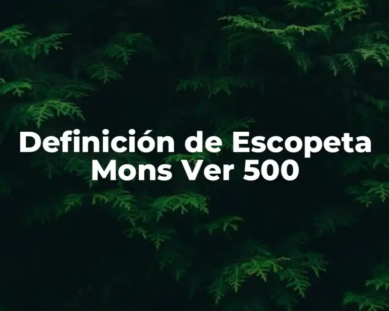 Definición de Escopeta Mons Ver 500