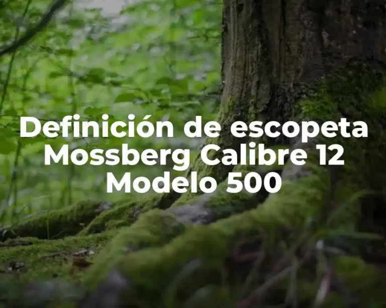 Definición de escopeta Mossberg Calibre 12 Modelo 500
