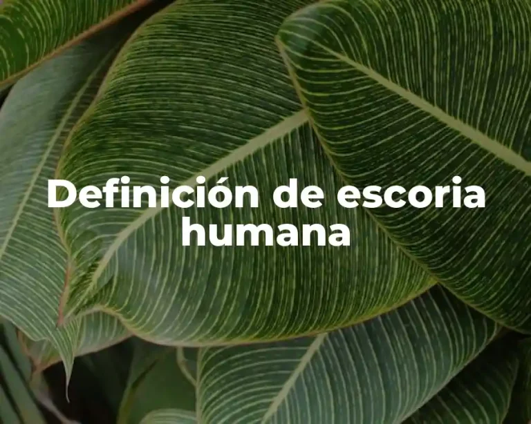 Definición de escoria humana