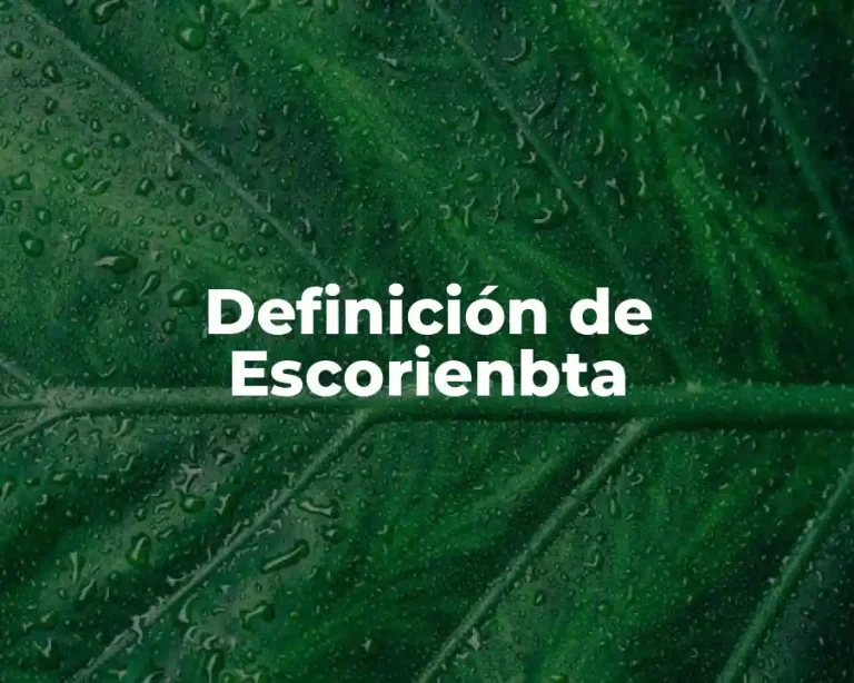 Definición de Escorienbta