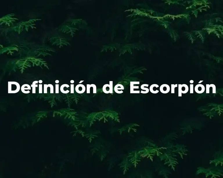Definición de Escorpión