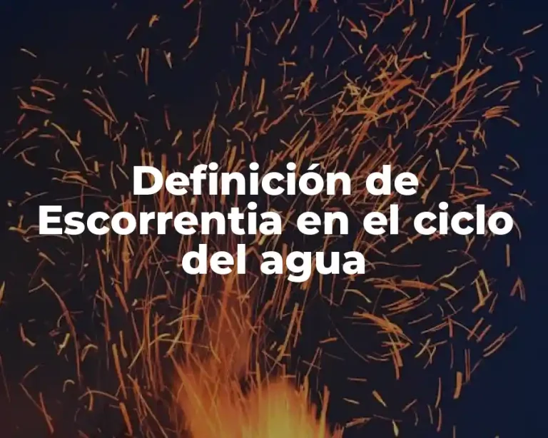 Definición de Escorrentia en el ciclo del agua