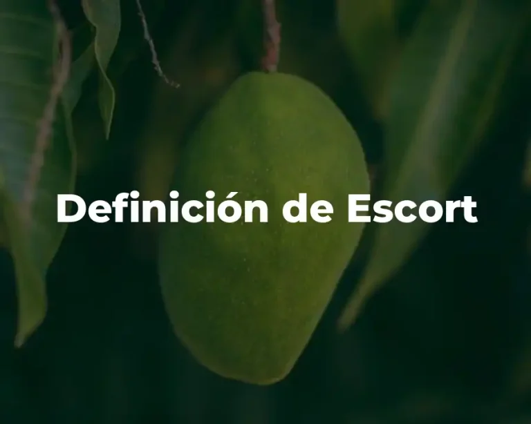 Definición de Escort