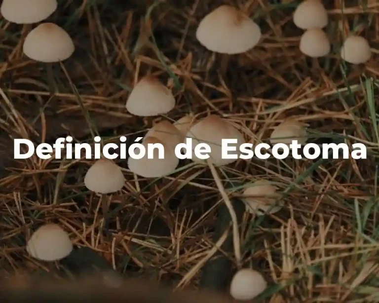 Definición de Escotoma