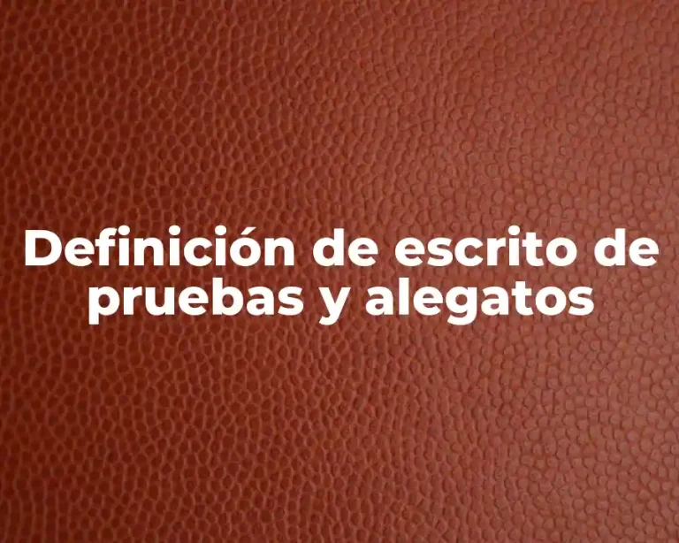 Definición de escrito de pruebas y alegatos