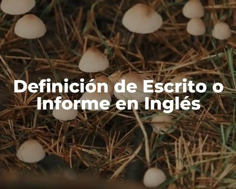 Definición de Escrito o Informe en Inglés