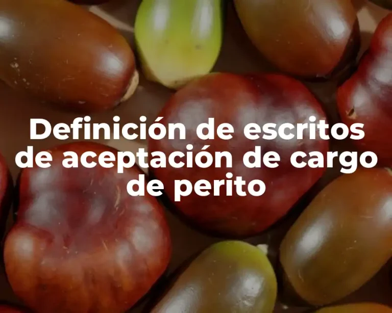 Definición de escritos de aceptación de cargo de perito