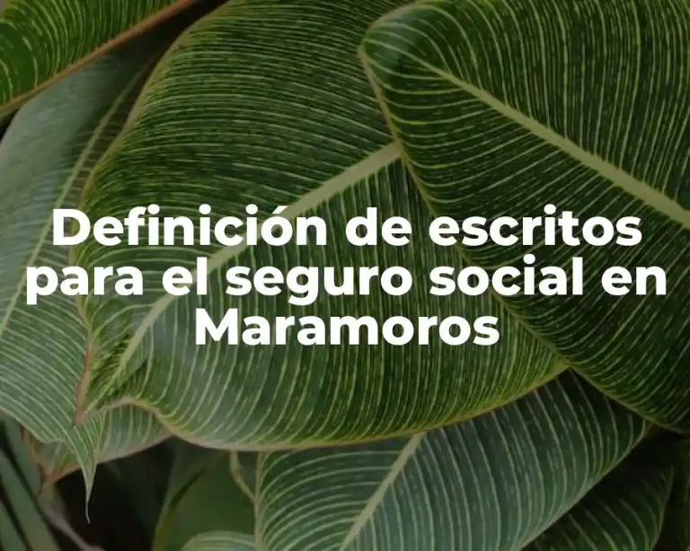 Definición de escritos para el seguro social en Maramoros