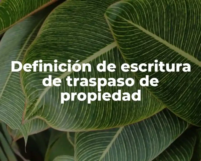 Definición de escritura de traspaso de propiedad