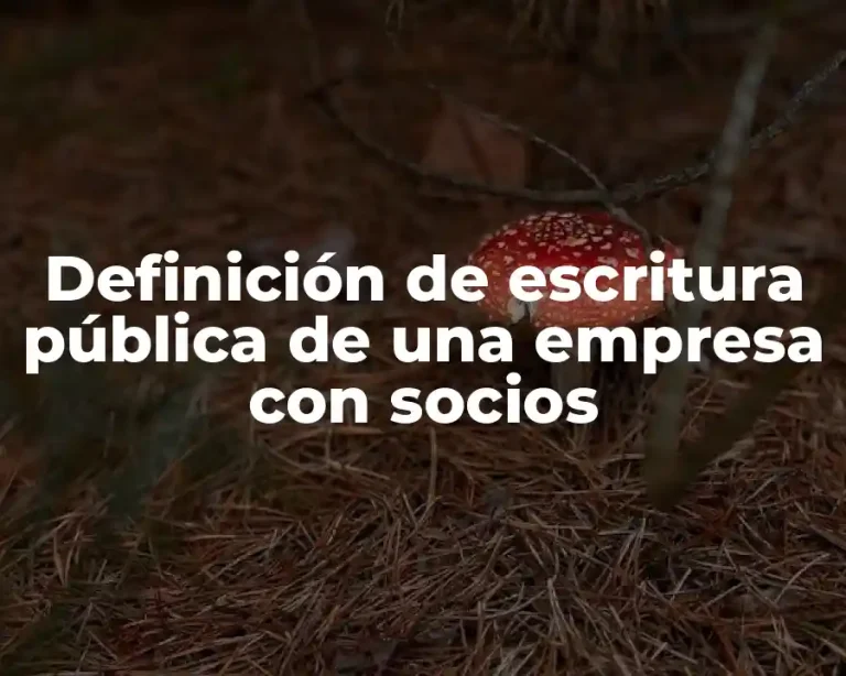 Definición de escritura pública de una empresa con socios