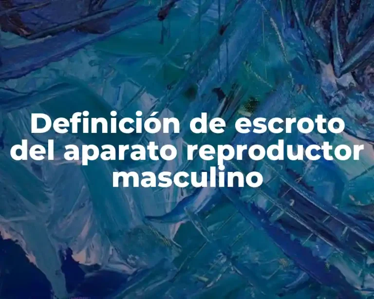 Definición de escroto del aparato reproductor masculino