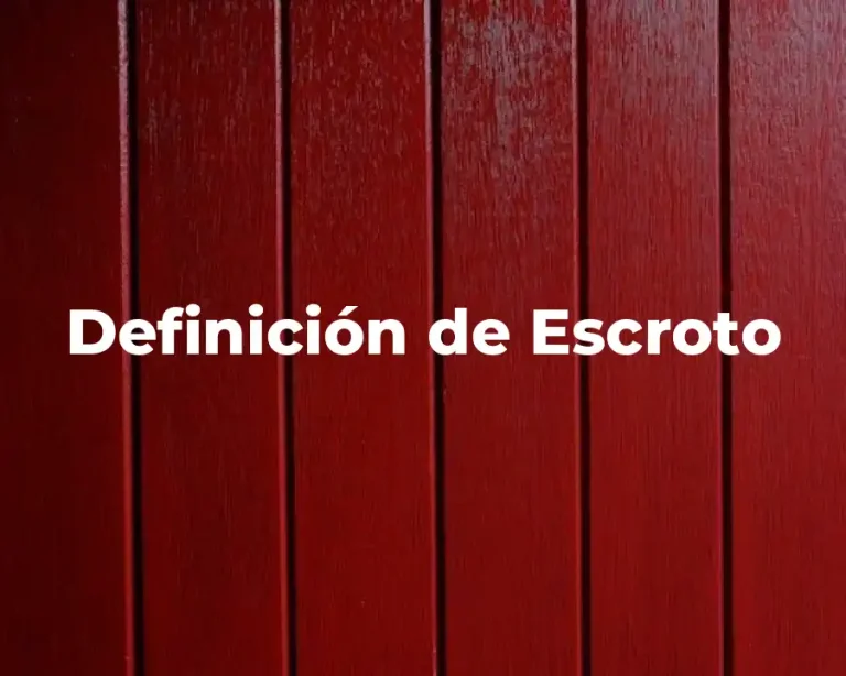 Definición de Escroto