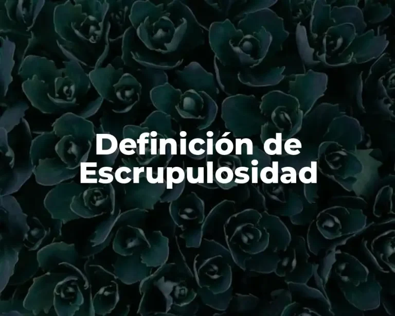 Definición de Escrupulosidad