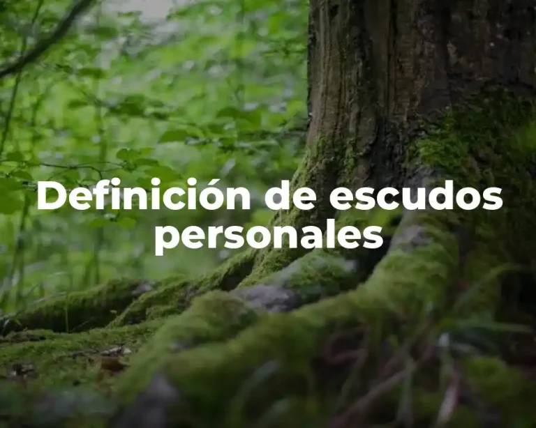 Definición de escudos personales