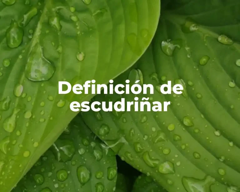 Definición de escudriñar