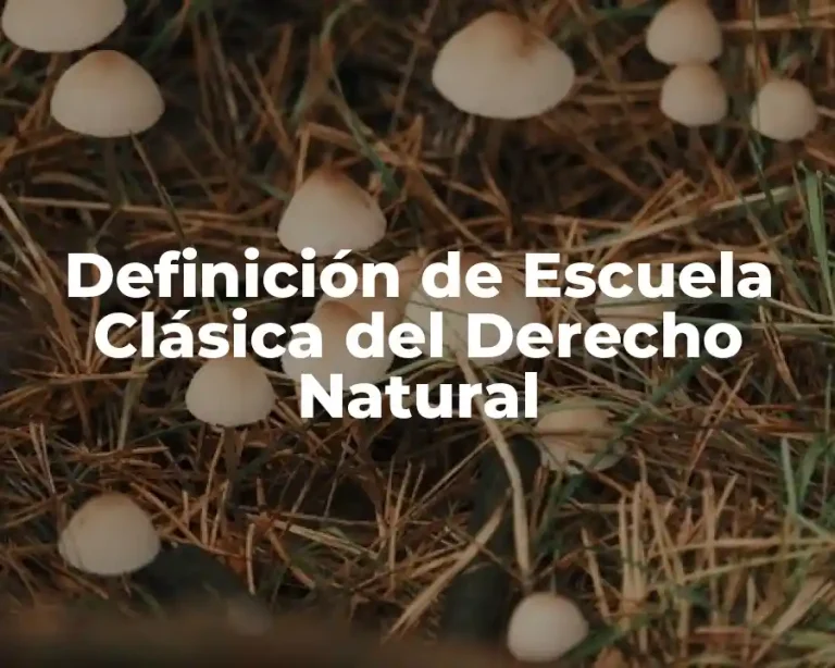 Definición de Escuela Clásica del Derecho Natural