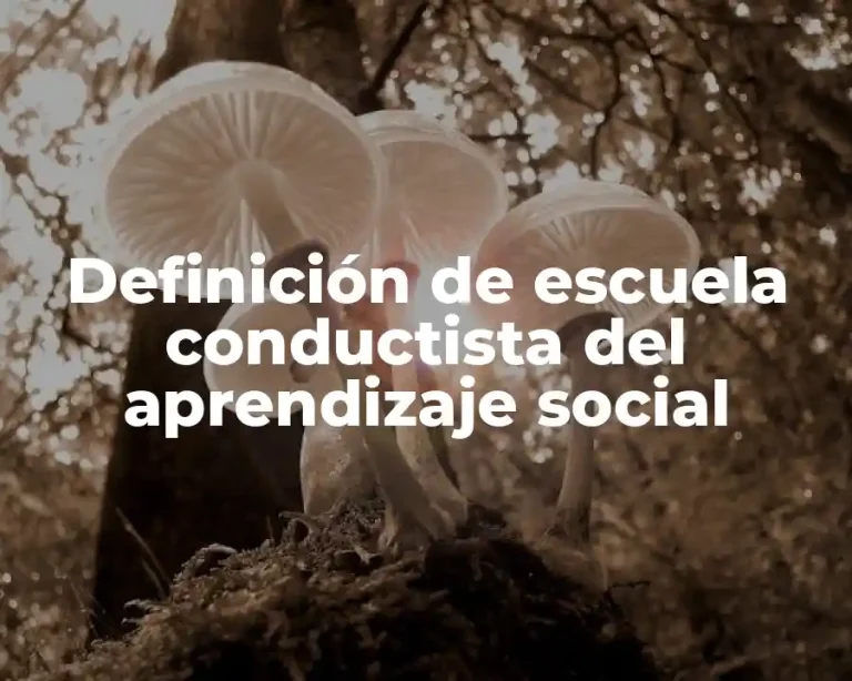 Definición de escuela conductista del aprendizaje social