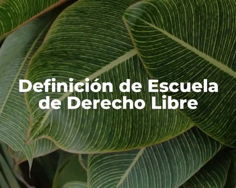 Definición de Escuela de Derecho Libre