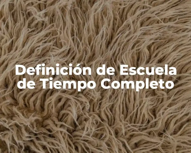 Definición de Escuela de Tiempo Completo