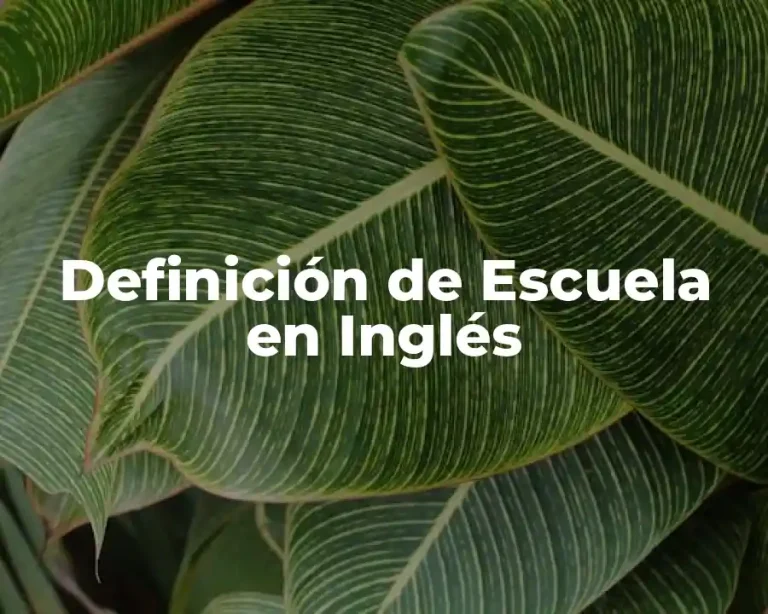 Definición de Escuela en Inglés