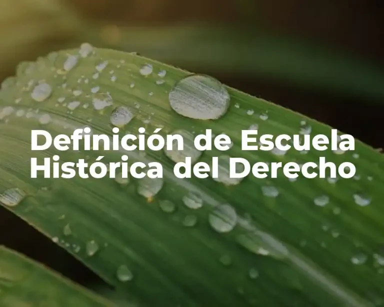 Definición de Escuela Histórica del Derecho