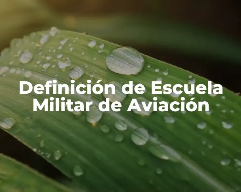 Definición de Escuela Militar de Aviación