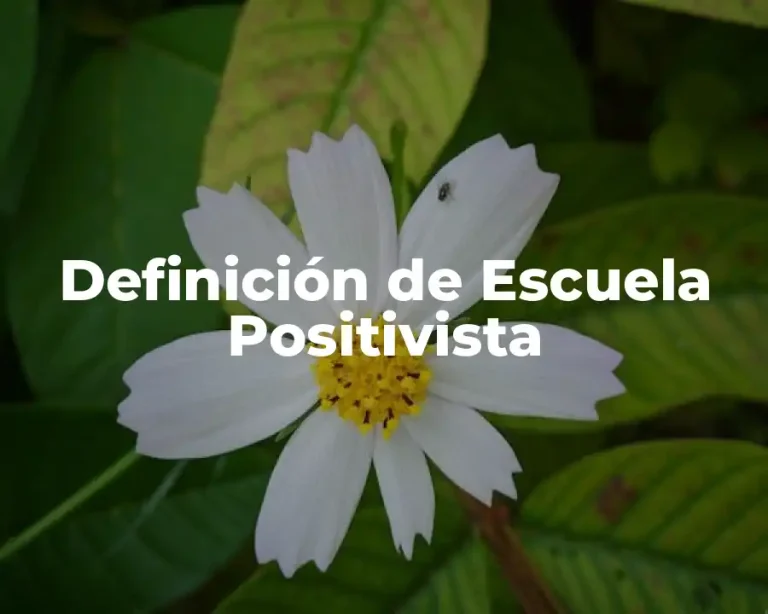 Definición de Escuela Positivista