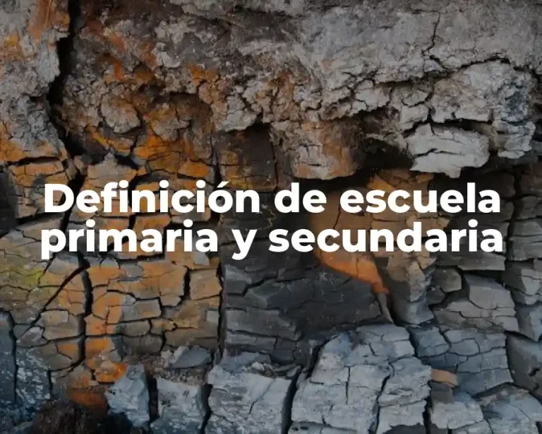 Definición de escuela primaria y secundaria