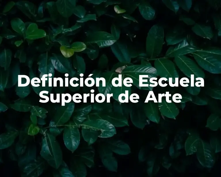 Definición de Escuela Superior de Arte
