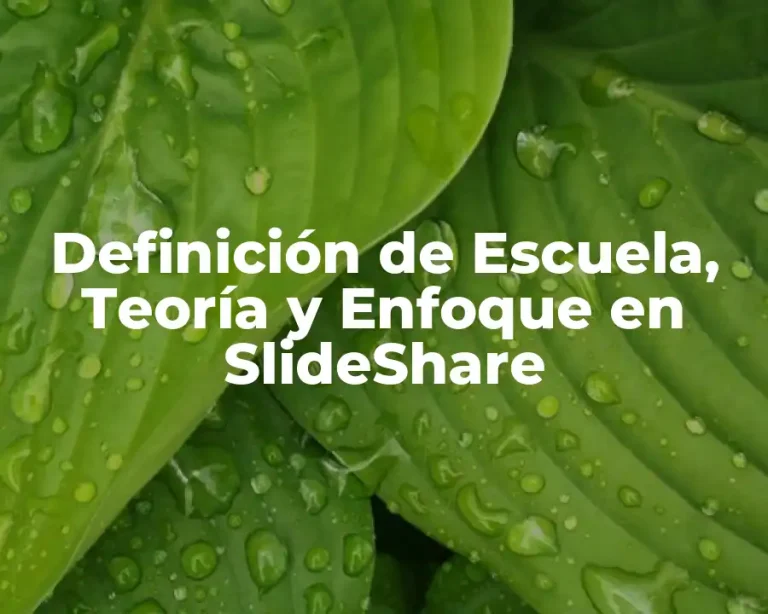Definición de Escuela, Teoría y Enfoque en SlideShare