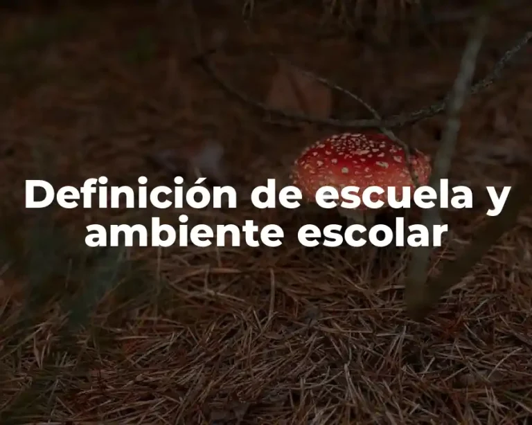 Definición de escuela y ambiente escolar