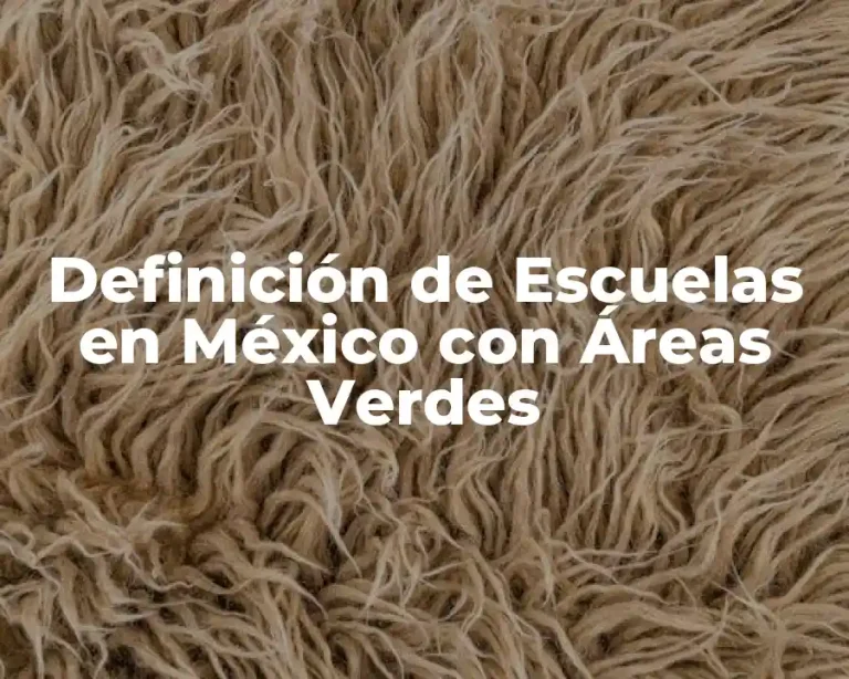 Definición de Escuelas en México con Áreas Verdes