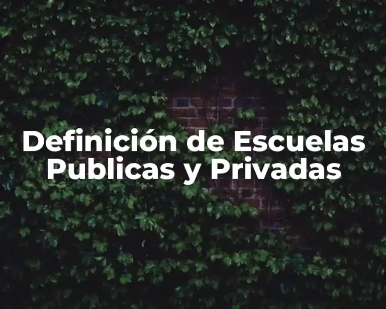 Definición de Escuelas Publicas y Privadas