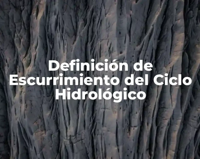 Definición de Escurrimiento del Ciclo Hidrológico