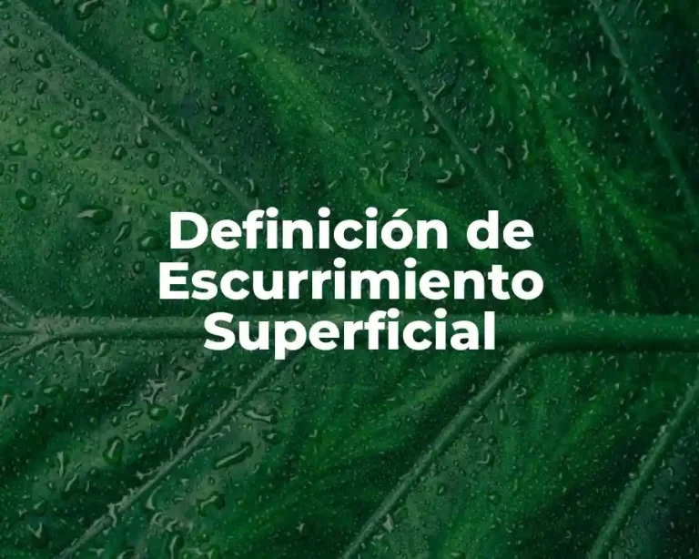 Definición de Escurrimiento Superficial