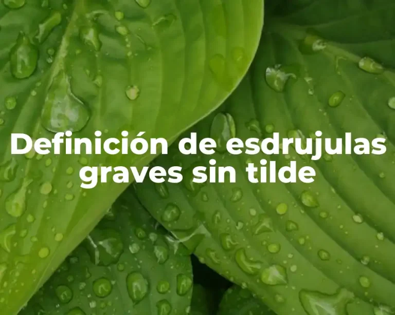 Definición de esdrujulas graves sin tilde