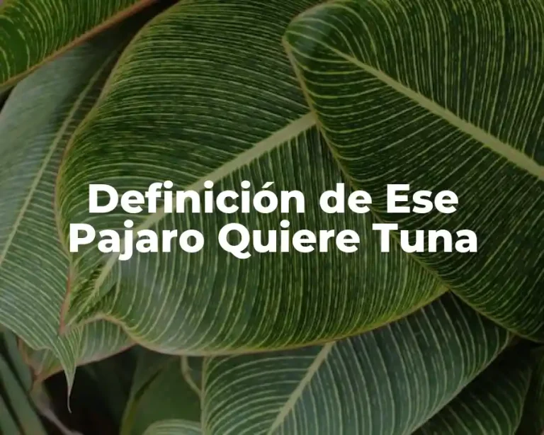 Definición de Ese Pajaro Quiere Tuna