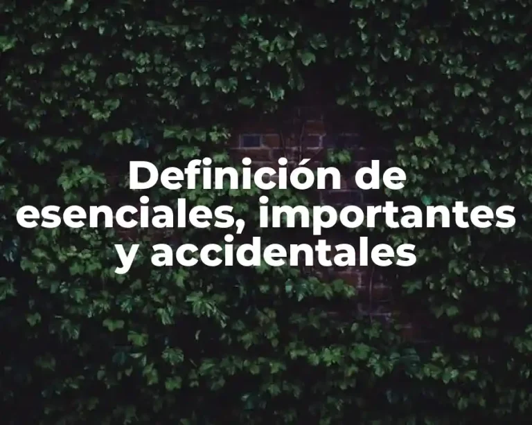 Definición de esenciales, importantes y accidentales