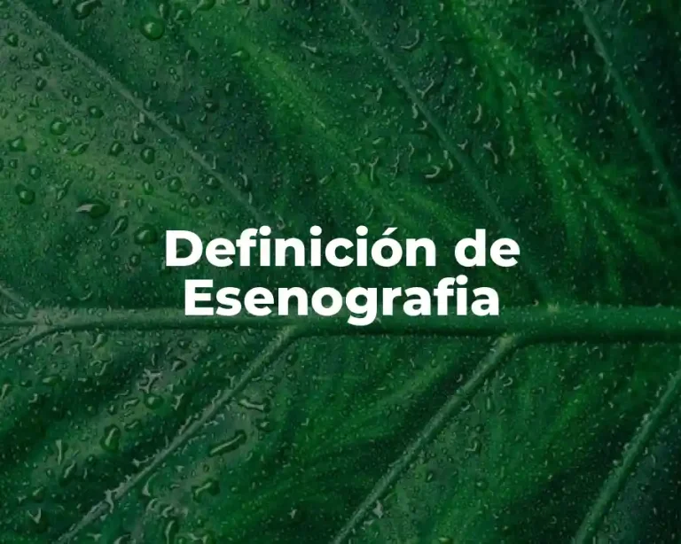 Definición de Esenografia