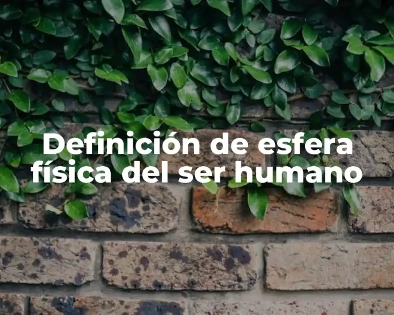 Definición de esfera física del ser humano