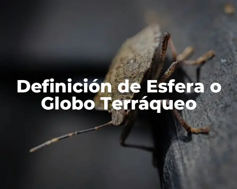 Definición de Esfera o Globo Terráqueo