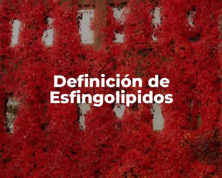 Definición de Esfingolipidos