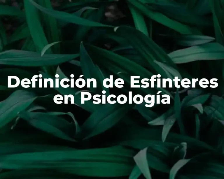 Definición de Esfinteres en Psicología
